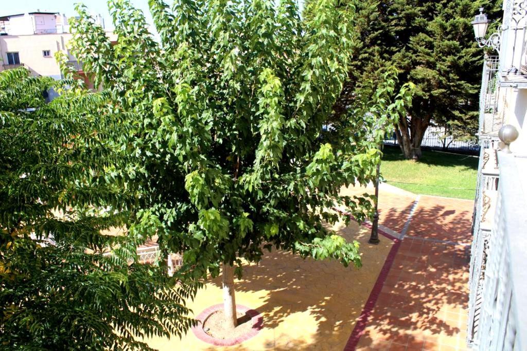 Hotel La Zubia , Granada エクステリア 写真